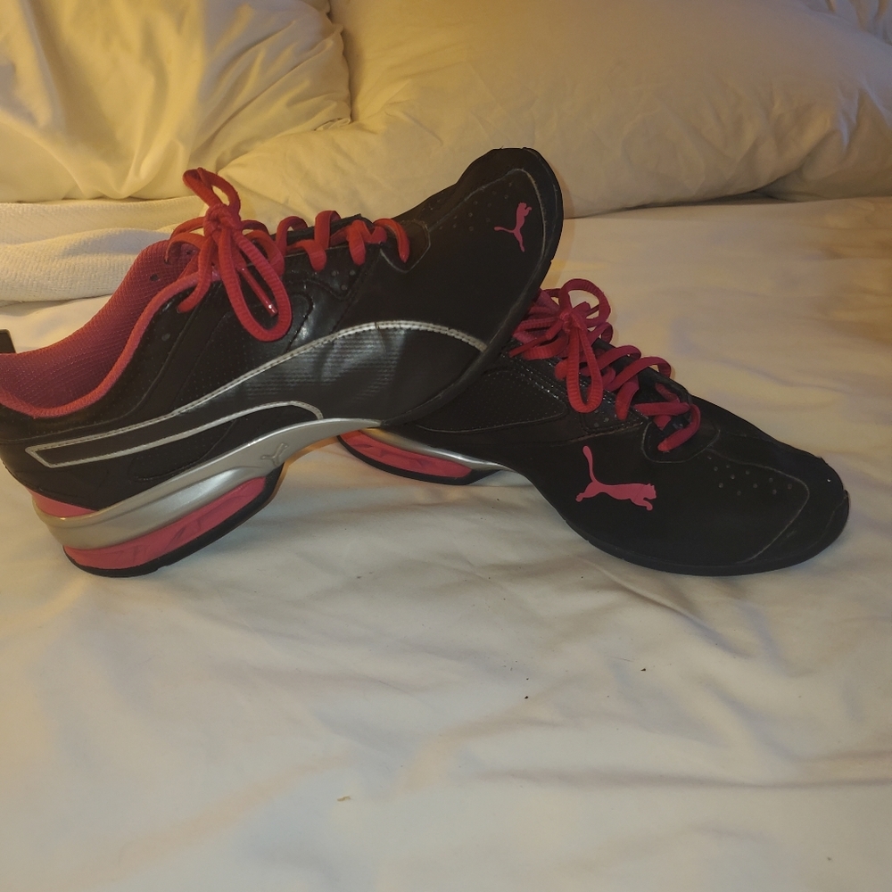 Pumas - Picture 3 of 3